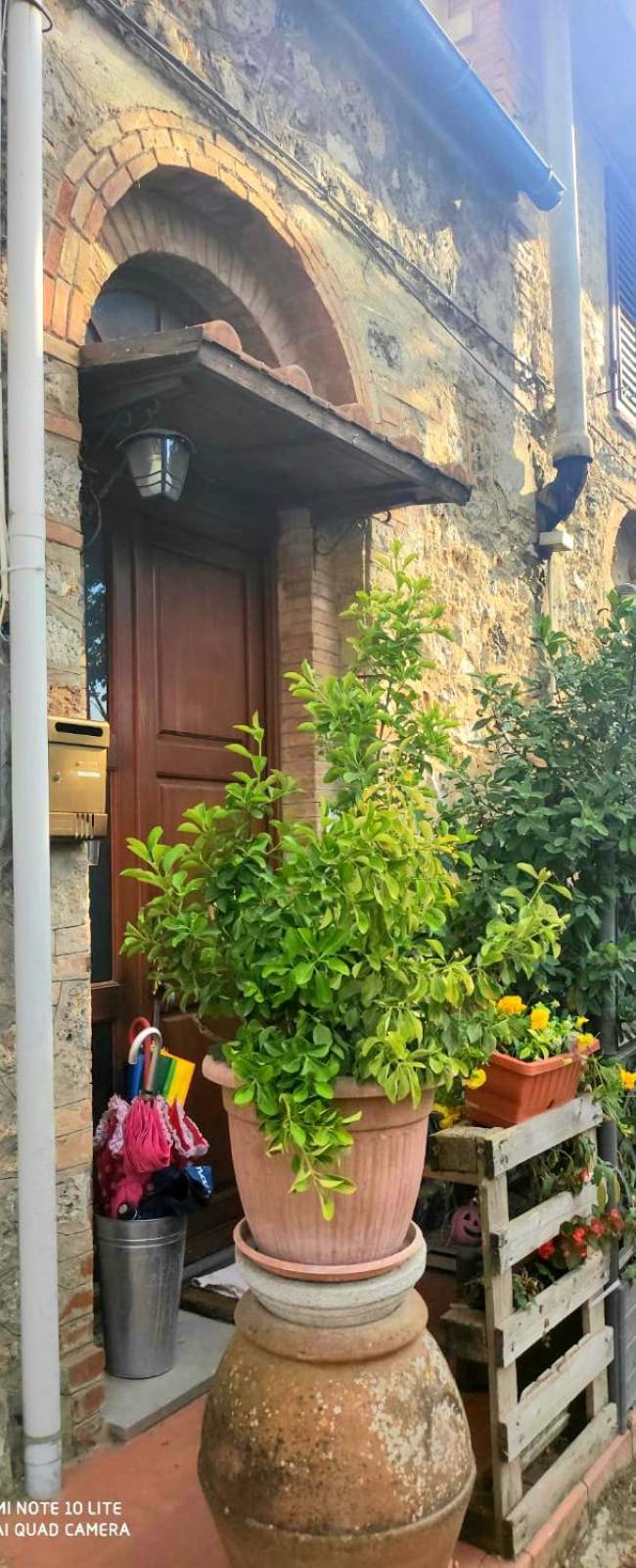 Luca'S Home San Gimignano Oda fotoğraf